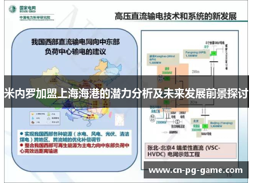 米内罗加盟上海海港的潜力分析及未来发展前景探讨