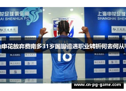 申花放弃费南多31岁国脚遭遇职业转折何去何从