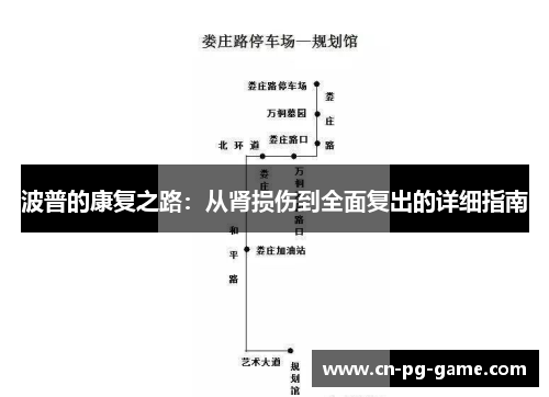波普的康复之路:从肾损伤到全面复出的详细指南 波普的康复之路:从肾损伤到全面复出的详细指南