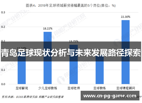 青岛足球现状分析与未来发展路径探索
