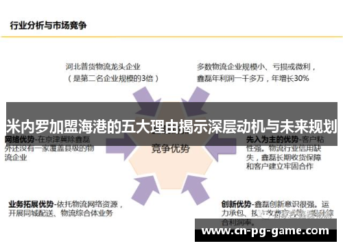 米内罗加盟海港的五大理由揭示深层动机与未来规划